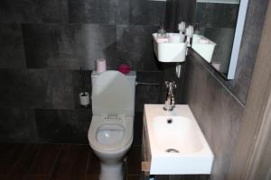 La salle de bains est pourvue de toilettes blanches et d'un lavabo. dans l'établissement STUDIO TOUT CONFORT, à Soignies