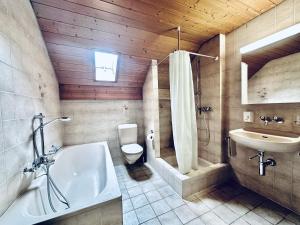 Vannituba majutusasutuses Furnished Living Room in Günsberg Solothurn