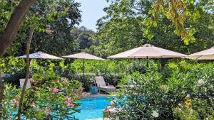 a swimming pool with umbrellas and chairs and a swimming pool at LA GALANTE in Faugères