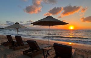 eine Gruppe von Stühlen und Sonnenschirmen am Strand mit Sonnenuntergang in der Unterkunft Loft Studios in Artemida