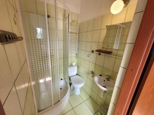 uma casa de banho com um WC e um lavatório em WILLA MONTE NEVE em Stronie Śląskie