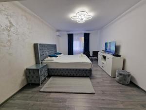 a bedroom with a bed and a television in it at Apartament AlyMit Băile Herculane in Băile Herculane