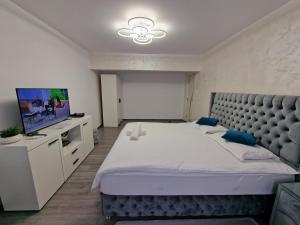 a bedroom with a large bed and a flat screen tv at Apartament AlyMit Băile Herculane in Băile Herculane