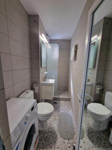 a bathroom with a toilet sink and a washing machine at Apartament AlyMit Băile Herculane in Băile Herculane
