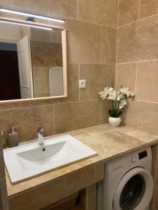 a bathroom with a sink and a washing machine at Bel appartement de 40m² à louer in Nice