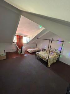 1 dormitorio con 1 cama en el ático en Le Duplex de Sainte Thérèse en Cayenne