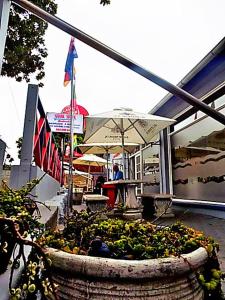 Fotografie z fotogalerie ubytování Shark shacks v destinaci Mossel Bay
