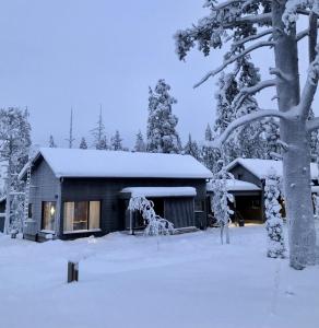 Villa Havu Ylläs v zimě