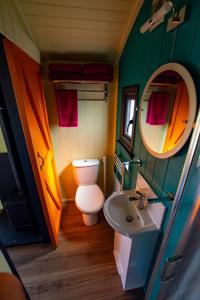 a bathroom with a toilet and a sink and a mirror at The Gambo Shepherd's Hut in Kidwelly