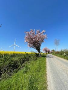 a tree on the side of a road with wind turbines at Fehrsland1 in Dollerup