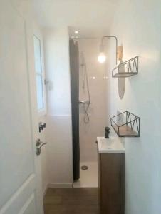 a bathroom with a shower and a sink at Logement indépendant avec extérieur privatif et clôturé in Batz-sur-Mer