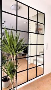 ein großer Spiegel in einem Zimmer mit Pflanze in der Unterkunft AMAO-Curry I 100qm I Zentrum I 3 Etagen I KingSizeBetten I Netflix I EuropaPark in Lahr