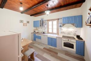a kitchen with blue cabinets and a wooden floor at Vila IVAN in Velika Gorica