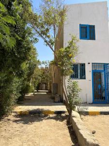 a building with a blue door and a tree at Villa in a compound with a rooftop in sheikh zayed in Sheikh Zayed