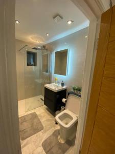 uma casa de banho com um WC, um lavatório e um chuveiro em Holiday Home, Sleep 10 in London em South Norwood