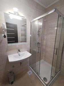 a bathroom with a shower and a sink at Gold Apartman in Subotica +12 photos