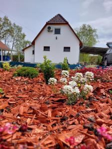 Fotografie z fotogalerie ubytování Bónom-zugi Pihenőház v destinaci Gyomaendrőd