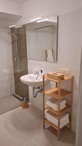 a bathroom with a sink and a shower and a mirror at TOP Apartments Kaiserebersdorf in Vienna