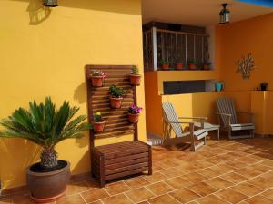 a patio with potted plants on a yellow wall at Pension Candelaria in Valle Gran Rey