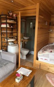 Un dormitorio con una cama y un baño con inodoro. en La Galipette, charmant chalet en Champagne, en Fleury-la-Rivière