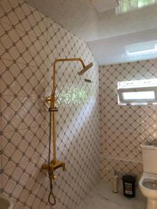 um chuveiro na casa de banho com WC em Hotel Okatsia სასტუმრო ოკაცია em Gordi
