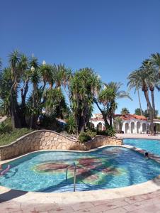 a swimming pool at a resort with palm trees at Alojamiento con Piscina y chiringuito Denia in Denia