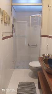 e bagno con doccia, servizi igienici e lavandino. di Casa Europeia em Cunha a Cunha