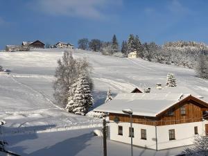 a house covered in snow with a hill in the background at Villa Herzland Allgäu mit großem Garten und gemütlichem Kaminfeuer inklusive KÖNIGSCARD, Skipass, Bergbahn, Therme inkl in Lechbruck