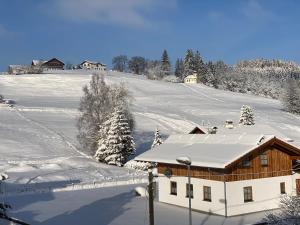 Villa Herzland Allgäu mit großem Garten und gemütlichem Kaminfeuer inklusive KÖNIGSCARD, Skipass, Bergbahn, Therme inkl trong mùa đông