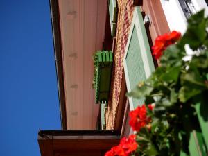 ein Haus mit einer Tür und einer Pflanze mit roten Blumen in der Unterkunft Feriengasthof Löwen in Breitnau