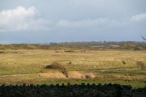 a field of grass with a fence in the foreground at Cribinau in Aberffraw