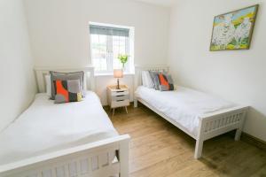 two beds in a room with white walls and wooden floors at Carrog Barn in Bodorgan