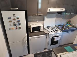 een kleine keuken met een koelkast en een magnetron bij Holiday house Zoki in Kutina