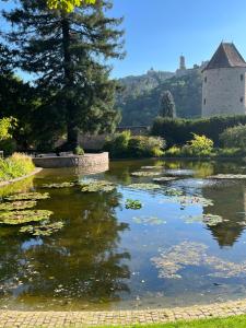 a pond with water lilies and a castle in the background at Ferienwohnung Burgenblilck in Weinheim