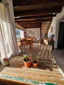 Yellow House Cottage في إل تشالتين: طاولة خشبية عليها كرسيين وطاولة عليها نباتات