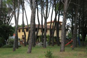 a house in the middle of a forest of trees at Villa Francesca in Rignano sullʼArno