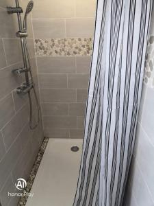 een badkamer met een douche, een toilet en een douche bij L'Hématite in Les Épesses