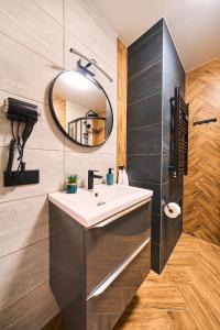 ein Bad mit einem Waschbecken und einem Spiegel in der Unterkunft Baza Dunajec Komfortowy Domek in Czarny Dunajec