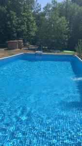 ŁupawskoにあるDZIK Łupawskoの青い水の大きなプール