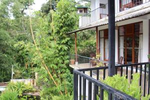a house with a balcony and trees at Rock side inn - Ella in Ella