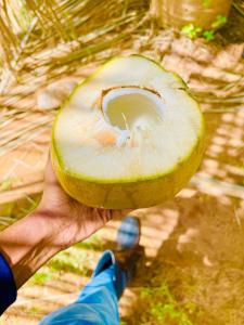 a person is holding a half of an avocado at LIFE OF COCO in Galge