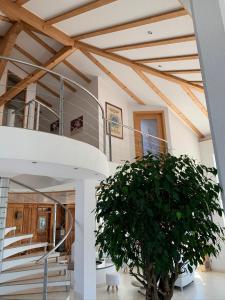 Fotografie z fotogalerie ubytování Luxus-Loft Atrium -X- v destinaci Rorbas