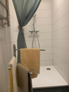Koupelna v ubytování Luxus-Loft Atrium -X-