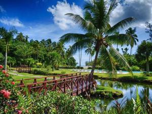 un puente de madera sobre un río con una palmera en RIBERAMAR Las Terrenas, Samana en Las Terrenas