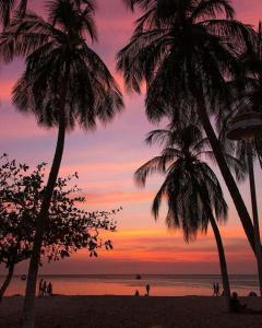two palm trees on a beach with a sunset at Migaloo Hostal Rodadero in Puerto de Gaira