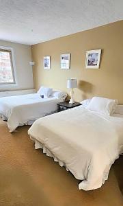 - une chambre avec 2 lits et une fenêtre dans l'établissement The Medicine Hat Villa, à Medicine Hat