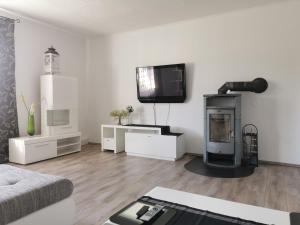 uma sala de estar com lareira e uma televisão na parede em Großzügige Wohnung mit Terrasse em Zeltweg
