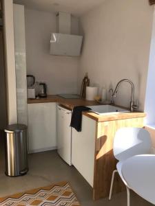uma pequena cozinha com um lavatório e um balcão em Maison du Saleys em Salies-de-Béarn