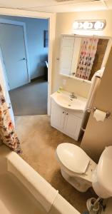 ein Badezimmer mit einem WC, einem Waschbecken und einem Spiegel in der Unterkunft The Medicine Hat Villa in Medicine Hat