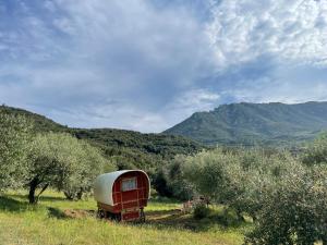 an old red truck parked in a field with trees at Le Camping de Cucugnan in Cucugnan